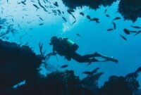 Seorang penyelam mengamati keindahan terumbu karang yang melimpah dengan keanekaragaman hayati laut di perairan Raja Ampat. Pelestarian kawasan pesisir menjadi pilar penting dalam menjaga keseimbangan alam Indonesia.