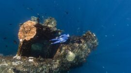 Seorang penyelam sedang merawat struktur transplantasi terumbu karang di kawasan konservasi perairan Indonesia sebagai bagian dari upaya pemulihan ekosistem bawah laut.