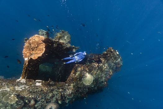 Seorang penyelam sedang merawat struktur transplantasi terumbu karang di kawasan konservasi perairan Indonesia sebagai bagian dari upaya pemulihan ekosistem bawah laut.