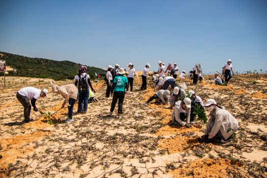 Sejumlah relawan dan warga lokal bekerja sama menanam bibit pohon endemik di kawasan restorasi hutan untuk mengembalikan ekosistem alam yang sempat rusak.