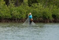 Sejumlah relawan muda bahu-membahu menanam bibit bakau di kawasan pesisir sebagai bentuk kepedulian terhadap pelestarian benteng alam pantai.