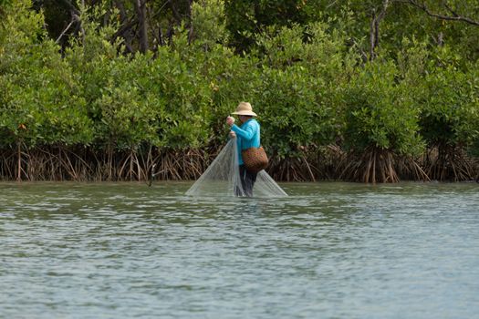 Sejumlah relawan muda bahu-membahu menanam bibit bakau di kawasan pesisir sebagai bentuk kepedulian terhadap pelestarian benteng alam pantai.