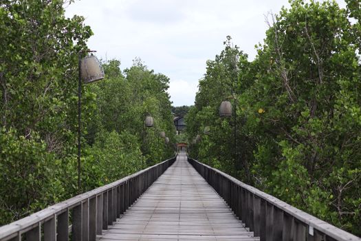 Warga lokal bersama relawan bekerja sama menanam bibit mangrove di kawasan pesisir guna mencegah abrasi sekaligus memulihkan ekosistem laut. Aktivitas pelestarian lingkungan berbasis masyarakat ini kini menjadi motor penggerak ekonomi baru melalui pengembangan destinasi ekowisata edukatif.