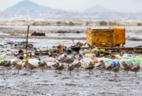 Timbunan sampah plastik sekali pakai yang mencemari kawasan pesisir Indonesia menjadi ancaman nyata bagi keberlangsung ekosistem laut dan kesehatan masyarakat.