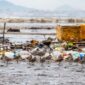 Timbunan sampah plastik sekali pakai yang mencemari kawasan pesisir Indonesia menjadi ancaman nyata bagi keberlangsung ekosistem laut dan kesehatan masyarakat.