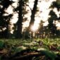 Seorang relawan muda sedang menanam bibit pohon endemik di area restorasi ekosistem untuk mengembalikan fungsi hutan tropis Nusantara.