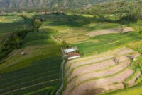 Pemandangan udara memperlihatkan alih fungsi lahan hutan tropis di Indonesia yang berdampak langsung pada keseimbangan iklim dan keanekaragaman hayati Nusantara.