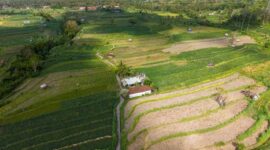 Pemandangan udara memperlihatkan alih fungsi lahan hutan tropis di Indonesia yang berdampak langsung pada keseimbangan iklim dan keanekaragaman hayati Nusantara.