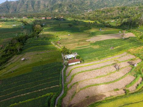 Pemandangan udara memperlihatkan alih fungsi lahan hutan tropis di Indonesia yang berdampak langsung pada keseimbangan iklim dan keanekaragaman hayati Nusantara.