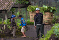 Seorang tetua adat di pedalaman Nusantara sedang berjalan di tengah hutan kelola warga yang terjaga keasriannya. Keberadaan masyarakat adat terbukti menjadi benteng terdepan dalam merawat ekosistem alam dan menahan dampak krisis iklim.