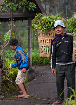 Menjaga Napas Hutan Adat di Tengah Pusaran Gaya Hidup Ramah Lingkungan Modern