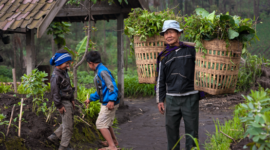 Seorang tetua adat di pedalaman Nusantara sedang berjalan di tengah hutan kelola warga yang terjaga keasriannya. Keberadaan masyarakat adat terbukti menjadi benteng terdepan dalam merawat ekosistem alam dan menahan dampak krisis iklim.