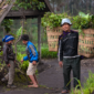 Seorang tetua adat di pedalaman Nusantara sedang berjalan di tengah hutan kelola warga yang terjaga keasriannya. Keberadaan masyarakat adat terbukti menjadi benteng terdepan dalam merawat ekosistem alam dan menahan dampak krisis iklim.