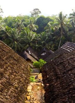 Menjaga Tanah Adat: Menemukan Kembali Akar Kehidupan Sustanabel dari Pelosok Nusantara
