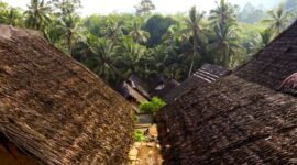 Masyarakat adat menjaga kelestarian hutan tradisi yang menjadi benteng pertahanan ekosistem alam dan sumber kearifan hidup berkelanjutan di Indonesia.