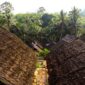 Masyarakat adat menjaga kelestarian hutan tradisi yang menjadi benteng pertahanan ekosistem alam dan sumber kearifan hidup berkelanjutan di Indonesia.