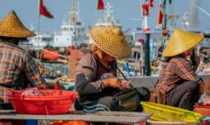 Geliat Ekonomi Pesisir: Dari Tangkapan Laut Tradisional Menuju Kemandirian UMKM Bahari