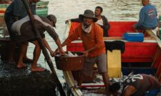 Menikmati Kelezatan Seafood Segar Nusantara Tanpa Mengorbankan Kelestarian Ekosistem Laut Kita