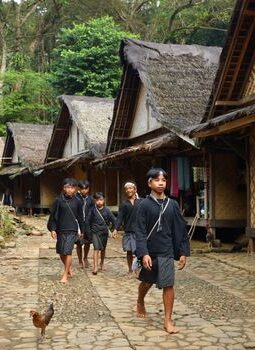 Menjaga Kelestarian Hutan Nusantara Lewat Sentuhan Hangat Konservasi Berbasis Komunitas Lokal