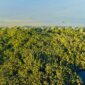 Para sukarelawan komunitas lokal sedang menyemai bibit pohon endemik di area restorasi hutan untuk mengembalikan keanekaragaman hayati yang sempat rusak.