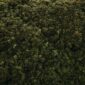 Pemandangan udara memperlihatkan perbatasan antara kawasan hutan hujan tropis yang masih asri dengan areal pembukaan lahan berskala besar di Kalimantan. Foto ini menjadi bukti nyata makin terdesaknya ekosistem alami Indonesia akibat aktivitas manusia.