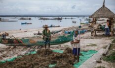 Menjaring Kesejahteraan Baru dari Olahan Rumput Laut dan Ekowisata Bahari Pesisir Nusantara