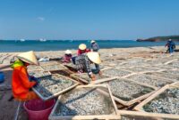 Kelompok perempuan di pedesaan pesisir sedang mengemas produk olahan ikan laut tradisional secara higienis untuk dikirim ke berbagai kota.