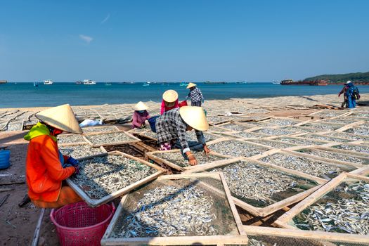 Kelompok perempuan di pedesaan pesisir sedang mengemas produk olahan ikan laut tradisional secara higienis untuk dikirim ke berbagai kota.