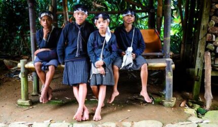 Menjaga Kelestarian Hutan Adat Demi Masa Depan Kehidupan Masyarakat Modern Indonesia
