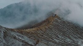 Pemandangan kawasan reklamasi hijau di area bekas pertambangan nikel yang kini ditanami kembali dengan vegetasi lokal untuk memulihkan ekosistem alam.