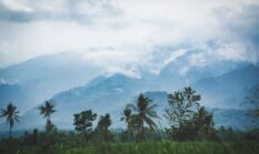 Merawat Kembali Paru-Paru Hijau Nusantara Melalui Sentinel Ekologi Dan Gaya Hidup Berkelanjutan