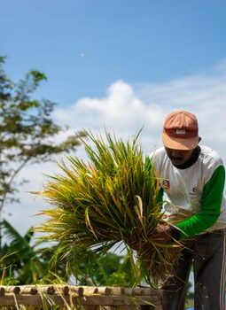 Menjaga Napas Pertanian Lewat Seren Taun di Tengah Arus Modernisasi Sunda