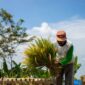 Warga desa berbusana adat Sunda sedang melakukan prosesi penumbukan padi secara masal menggunakan alu dan lisung kayu pada pesta adat Seren Taun di Cigugur.