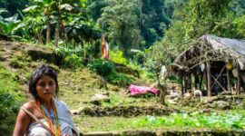 Warga masyarakat adat berjalan melintasi kawasan hutan ulayat yang terjaga kelestariannya sebagai bukti kearifan lokal dalam memelihara keseimbangan ekosistem alam.