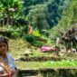 Warga masyarakat adat berjalan melintasi kawasan hutan ulayat yang terjaga kelestariannya sebagai bukti kearifan lokal dalam memelihara keseimbangan ekosistem alam.