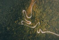 Pemandangan udara hamparan kanopi hutan tropis Indonesia yang kian pulih dan menghijau, menopang keanekaragaman hayati serta menjaga keseimbangan iklim kawasan.