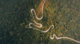 Pemandangan udara hamparan kanopi hutan tropis Indonesia yang kian pulih dan menghijau, menopang keanekaragaman hayati serta menjaga keseimbangan iklim kawasan.