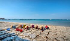 Menjelajah Nafas Baru Ekonomi Pesisir Lewat Olahan Hasil Laut dan Wisata Bahari Berkelanjutan