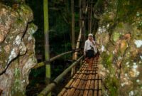 Masyarakat adat memegang peranan vital dalam menjaga kelestarian ekosistem hutan Nusantara melalui norma adat yang dipraktikkan secara turun-temurun.