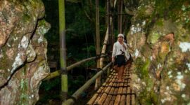 Masyarakat adat memegang peranan vital dalam menjaga kelestarian ekosistem hutan Nusantara melalui norma adat yang dipraktikkan secara turun-temurun.