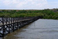 Pengunjung menyusuri jembatan kayu di tengah kerimbunan hutan mangrove pesisir saat senja, menikmati udara segar sekaligus keindahan benteng hijau alami yang menjaga garis pantai dari erosi.