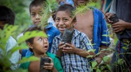 Aktivitas warga perkotaan saat menanam bibit pohon lokal dalam aksi pemulihan hutan komunitas sebagai bagian dari tren gaya hidup ramah lingkungan.