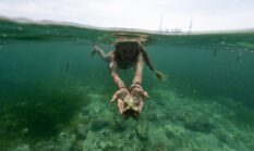 Menyelamatkan Surga Bawah Laut Indonesia Lewat Langkah Sederhana dari Gaya Hidup Sehari-hari