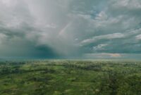 Hutan hujan tropis di Indonesia berfungsi sebagai paru-paru dunia yang menyerap emisi karbon sekaligus menjaga keseimbangan iklim global. Keberlanjutan kawasan hijau ini sangat bergantung pada komitmen bersama masyarakat dalam memilih produk ramah lingkungan.