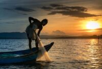 Seorang nelayan tradisional di perairan pesisir Indonesia sedang menarik jaring ramah lingkungan untuk menjaga populasi ikan dan kelestarian terumbu karang.