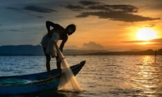 Menikmati Ikan Segar Tanpa Merusak Laut Melalui Gerakan Perikanan Berkelanjutan Indonesia