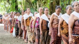 Seorang tetua adat berjalan menelusuri kawasan hutan lindung di Kalimantan dengan latar tutupan pohon rindang yang terjaga kelestariannya. Praktik pengelolaan tradisional masyarakat setempat terbukti efektif menjaga keanekaragaman hayati dari ancaman deforestasi.