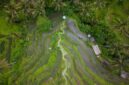 Pemandangan udara memperlihatkan perbatasan antara tutupan hutan hujan tropis alami Indonesia dan area pembukaan lahan yang kian meluas ke dalam kawasan konservasi.