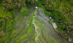 Jejak Hilangnya Hutan Indonesia dalam Cangkir Kopi dan Pilihan Gaya Hidup Keseharian Kita