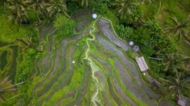 Pemandangan udara memperlihatkan perbatasan antara tutupan hutan hujan tropis alami Indonesia dan area pembukaan lahan yang kian meluas ke dalam kawasan konservasi.